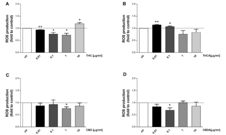 FIGURE 4 | Effect of a 24 h treatment with THC (A), THCA (B) CBD (C), CBDA (D) (0.01-0.1-1-10 μg/mL), on Caco-2 ROS production in basal condition