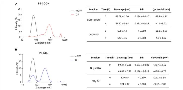 FIGURE 1 | Polystyrene nanoparticles behavior in exposure media. Particles size distribution and Z-average (nm), polydispersity index (PdI) and ζ-potential (mV) of unlabeled PS-COOH (A) and PS-NH 2 (B) in mQW and coelomic fluid (CF) at time 0 and 4 h