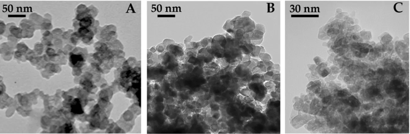 Figure 1. Images obtained by transmission electron microscopy (TEM) of NPs suspended at room temperature (23 °C)  through sonication