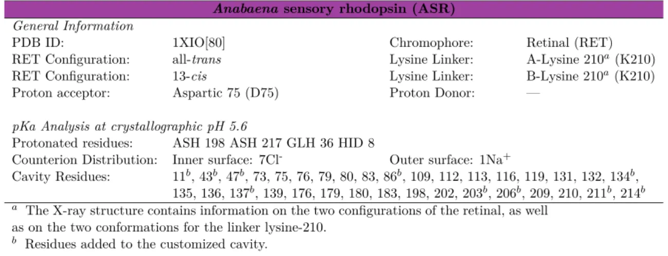 Table 3.1: Overview of structural features and both experimental and computational data for the ARM QM/MM model models of Anabaena sensory rhodopsin (ASR).