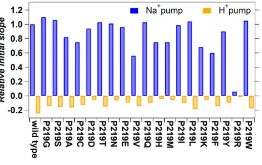 Figure 5. Quantitative comparison of pump activities of the WT and mutant KR2. The numbers of 324 
