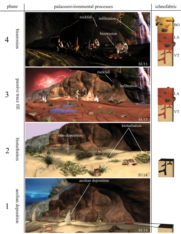 Fig. 6. (Colour online) Palaeoenvironmental and ichnological evolution of the Oscurusciuto rock shelter