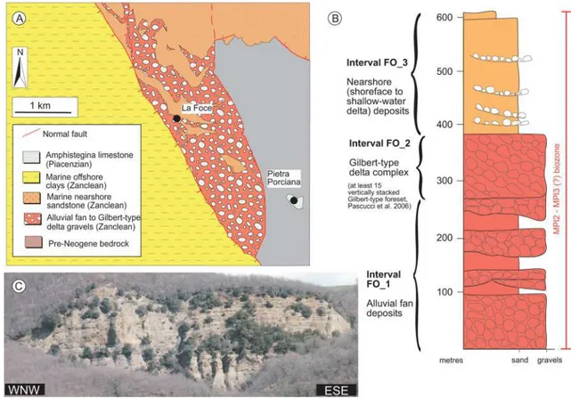 Fig. 9    a Geological map of the “La Foce-Lucciolabella” area 