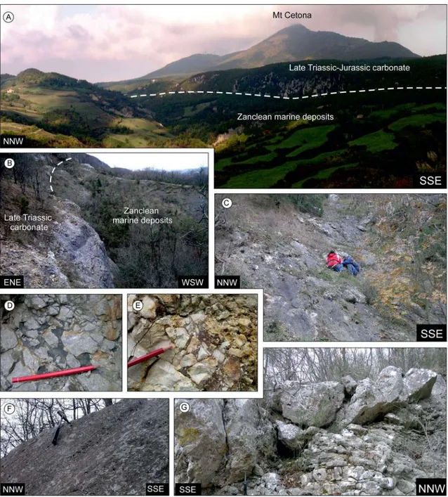 Fig. 4    a Panoramic view of the Cetona normal fault scarp; b detail 