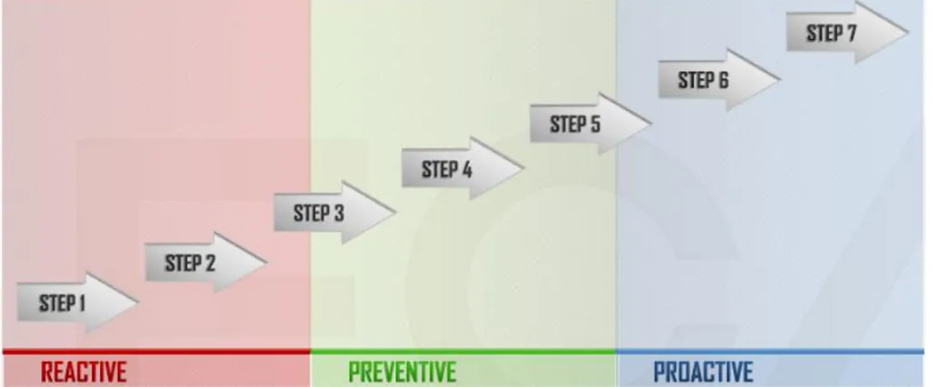 Figura 3 - L’approccio a sette step 