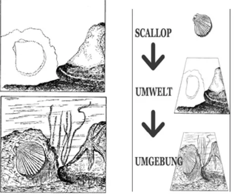 Fig. 3 - Umwelt come interfaccia 5