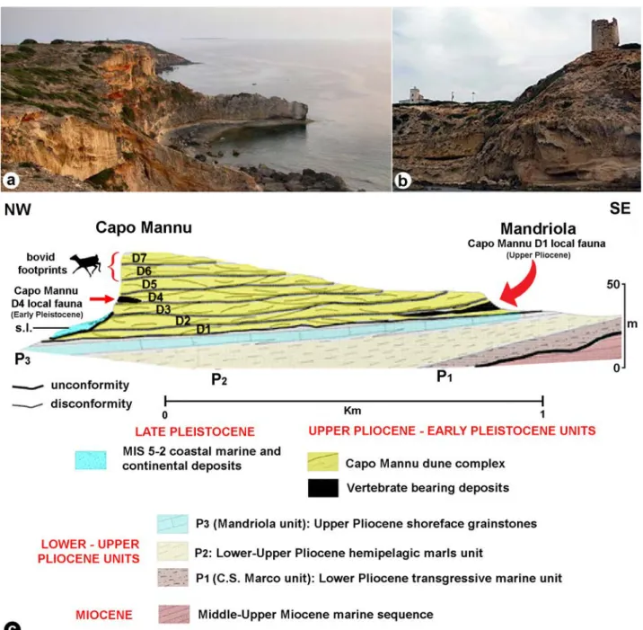 Fig. 2 - Capo Mannu (San Vero Milis municipality, central-western Sardinia). a) panoramic view the Sinis Peninsula (from Capo Mannu  toward southeast); b) particular of the Capo Mannu dune complex; c) syntetical cross-section of stratigraphical units expos