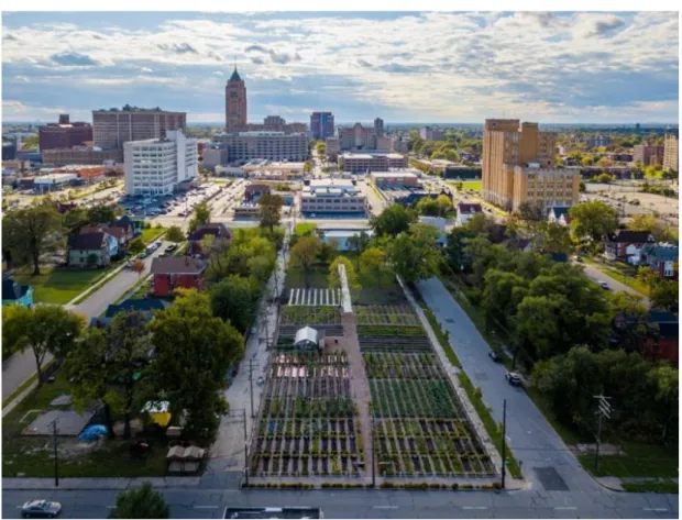 Fig. 4. Agricoltura urbana a Detroit, negli Stati Uniti (foto: Detroit Metro Times) 