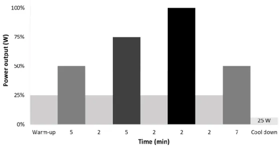 Figure 1. Individualized schematic training session percentages of peak power output. 