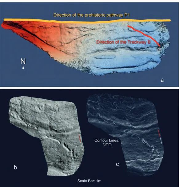 Fig. 3 - 3D generated block surface of the “Devil’s Trails” Palaeontological site: Aerial Southern  view of the entire slope [the direction of the prehistoric pathway is marked in yellow from which  Trackway B branches off; the direction of Trackway B is m