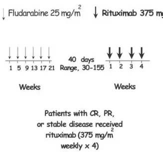 FIGURE 1. Treatment scheme of ﬂudarabine combined with rituximab. Patients received 6 monthly courses of ﬂudarabine and 4 weekly doses of rituximab starting an average of 40 days after they completed ﬂudarabine therapy