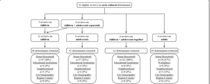Fig. 2 Flowchart of determinant extraction and categorization. Results of the extraction of potential socio-cultural determinants of physical activity based on the 23 included reviews for the different age groups