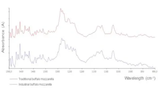 Fig.  2:    Spectra  of  traditional  buffalo  mozzarella  (red  solid 