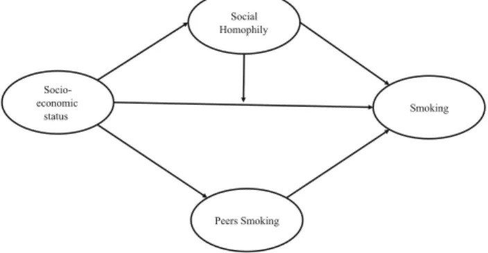 Fig. 1 Inequalities in smoking: conceptual model