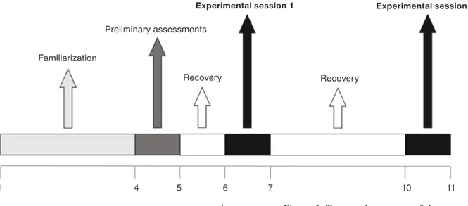 Figure 1. temporal sequence of the experimental protocol