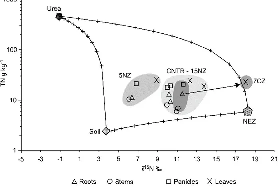 Figure 6. δ 15 N vs total nitrogen (TN) mixing diagram for sorghum plant organs. Chemical fertilizers,  NEZ and Soil have been chosen as end-members