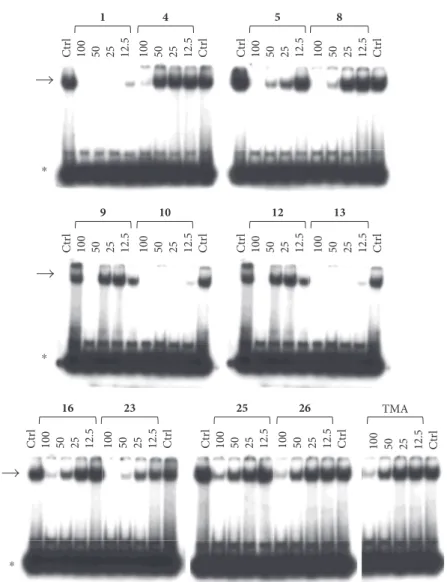 Figure 3: Representative results depicting the eﬀects of TMA analogues (1–26) at 12.5–100 μM concentrations, compared to TMA in EMSA