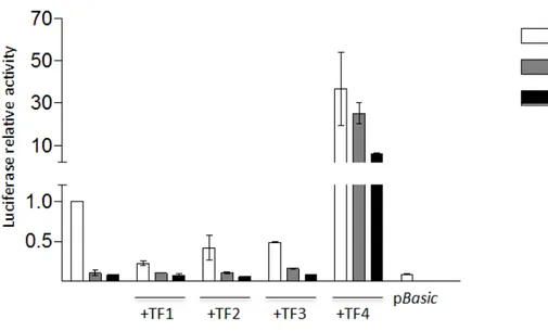Figure 1.7: Co-expression of the reporter plasmids wt, pGL3 -94G or -61G with each synthetic TALE-TFs in HepG2 cell line