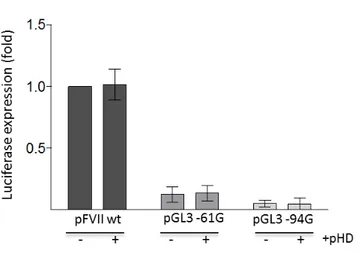 Figure 1.10: Co-transfection of HepG2 cells with the pGL3 FVII wt, -61G or -94G with a pHD backbone vector expressing the VP64 transactivation domain alone