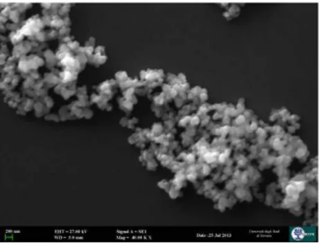 Fig. 1. SEM image of the obtained CdS powder. 