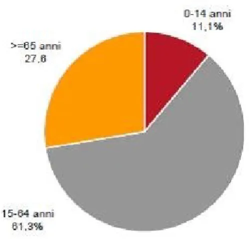Figura 5: Composizione della popolazione per fasce d’età alla fine del 2016 (dati provvi-