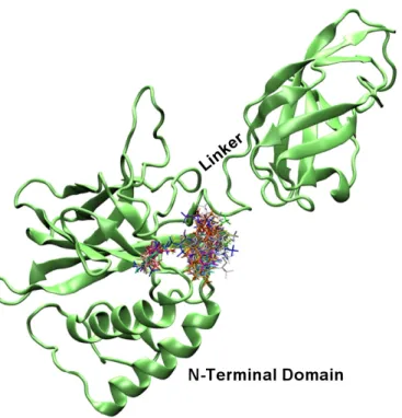Figure 2 Stereoview of compounds 1-27, 9i and 10i docked in to DNA binding region of the NF-kappaB p50 