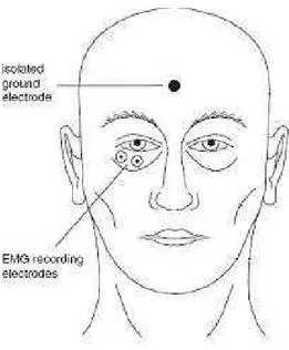 Figura 4. Posizionamento degli elettrodi elettromiografici sulla porzione orbitale inferiore  del  muscolo  orbicularis  oculi  per  la  rilevazione  dell’eyeblink