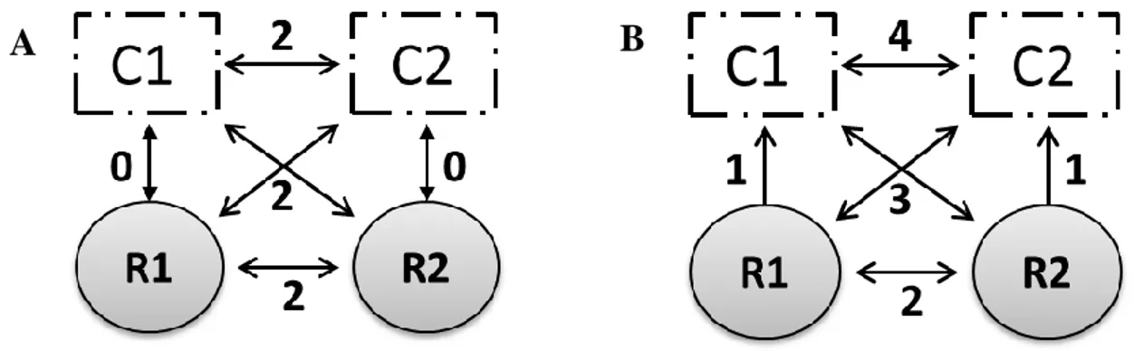 Figure 15 – Schematic representation of the IBD models. A) Schematic model using two weights
