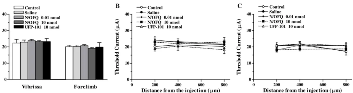 Figure 42. M1 injections of N/OFQ and UFP-101 had no effects on M1 output in naive rats