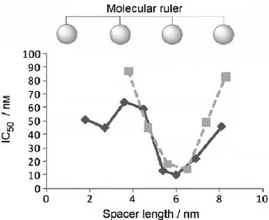 Figure 7: Graph that highlights the relationship between potency and length of the spacer that connect the  two pharmacophores