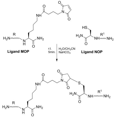 Figure 11: General scheme adopted for the synthesis of a bivalent ligand NOP/MOP. 