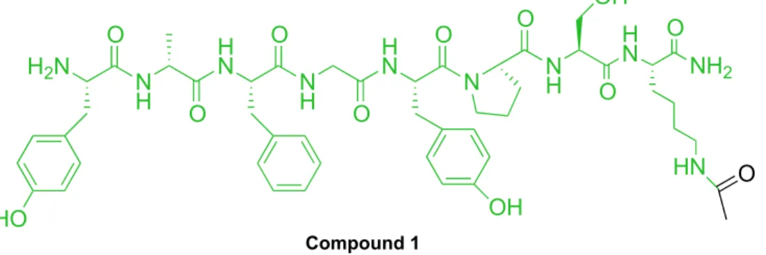 Figure 16: Structure of dermorphin sequence with Lysine acetylated in position 8. 