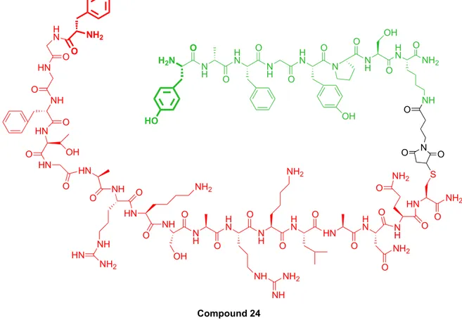 Figure 18:  Bivalent ligand NOP / MOP (compound 24) consists of the pharmacophore  N / OFQ  and 