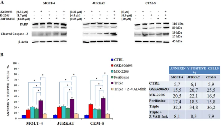 Figure 7: Multiple anti Akt drug treatment affects also MEK/ERK pathway.  Western blot analysis for Tyr 202/204 p-ERK 