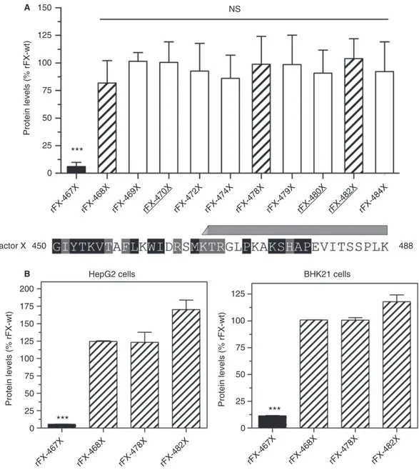 Fig. 2. Expression levels of truncated variants. (A, upper panel) Expression levels of rFX variants after transient transfection of HEK293 cells