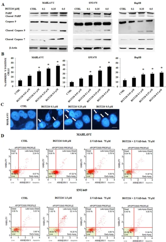Figure 2: BGT226 induces apoptosis in HCC cell lines. A. Western blot analysis of Mahlavu, SNU475 and Hep3B cell lines treated 
