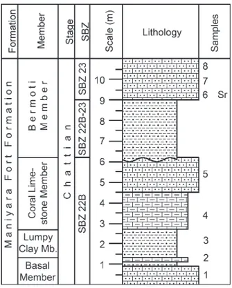 Figure 5.  Simplified stratigraphic log of the Bermoti section  with position of the samples.