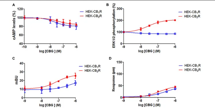 FIGURE 3 | Cannabigerol action in cells expressing CB1 R or CB2R. HEK-293T cells were transfected with 0.75 µg cDNA for CB1R (red line) or 1 µg cDNA for CB2R (blue line)