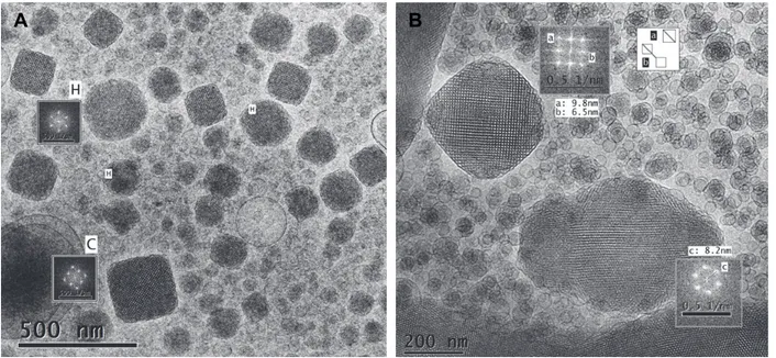 Figure 21. Cryo-transmission electron microscopy images (cryo-TEM) of BC-MAD. The insets show Fast Fourier 