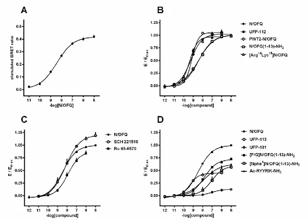 Figure  20.  NOP  receptor/G-protein  interaction  experiments  -  Concentration-response  curves  to  N/OFQ 