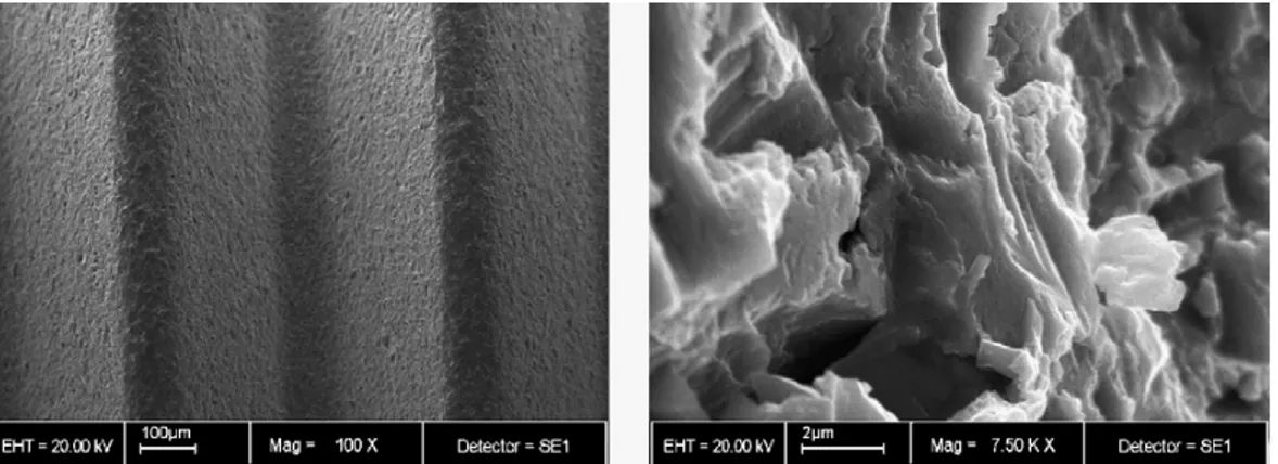 Fig. 8. SEM micrographs of an SLA surface on a titanium dental implant  (SLA, Straumann AG, Switzerland) (from Le Guehennec L