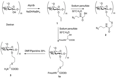 Figure 5. Synthesis of dextran derivatives. 