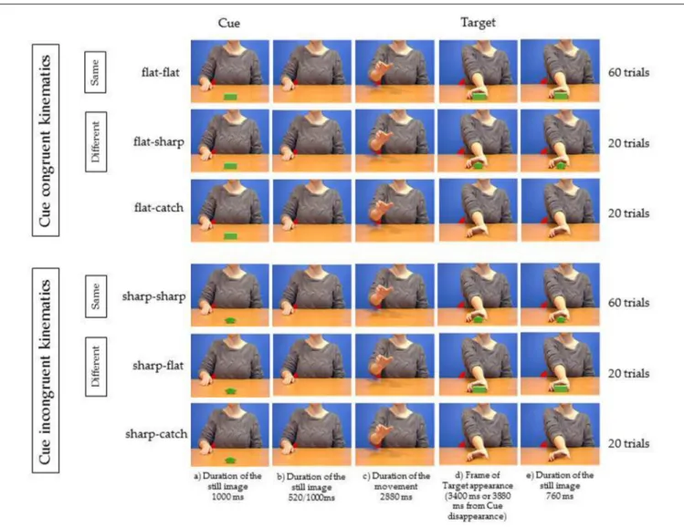 FIGURE 1 | Experiment 1. Five frames relative to each of the six videos used as stimuli