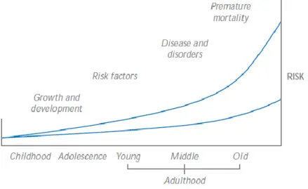 Figure  1  -  Physical  activity  and  disease/mortality  risk  in  a  lifetime 