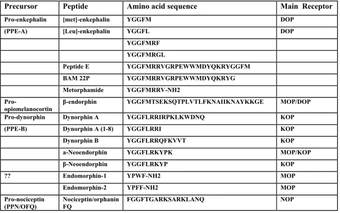 Fig 5. Most known endogenous opioids, their precusors, amino acid sequences and known receptors