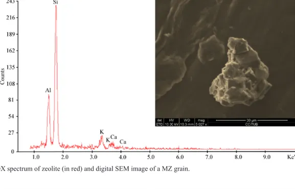 Figure 3. EDX spectrum of zeolite (in red) and digital SEM image of a MZ grain.