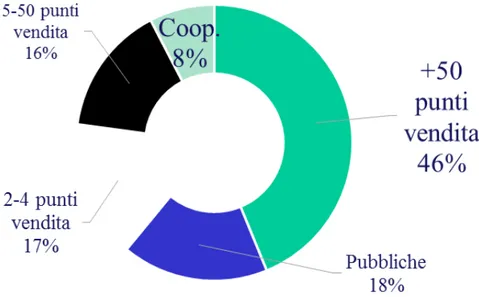 Fig. 3 La dimensione delle catene in Europa 