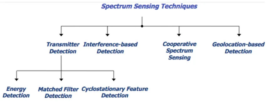 Fig. 1.3: Tecniche di sensing