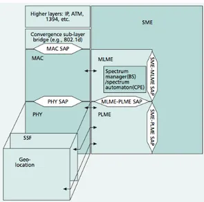 Fig. 2.2: Architettura di riferimento di un nodo IEEE 802.22 dell’intera cella. Dall’altro lato le SA all’interno delle CPE costituiscono una sorta di “intelligenza ”di backup, in caso di interruzione temporanea della comunicazione con la BS, consentendo a