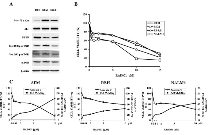 Figure 14. PI3K/Akt/mTOR signaling activation and RAD001 sensitivity of B-pre ALL cell lines